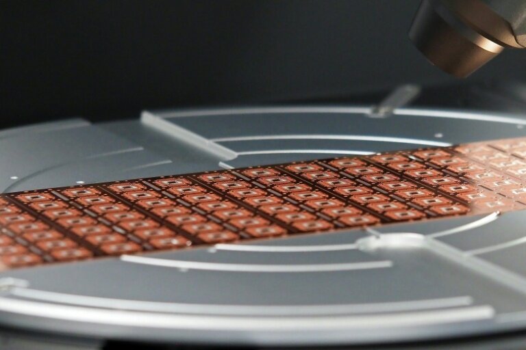 Un ingénieur inspectant des puces afin de détecter les contrefaçons dans une usine de Sanand, dans l'Etat indien du Gujarat, le 10septembre 2025 © Sam PANTHAKY