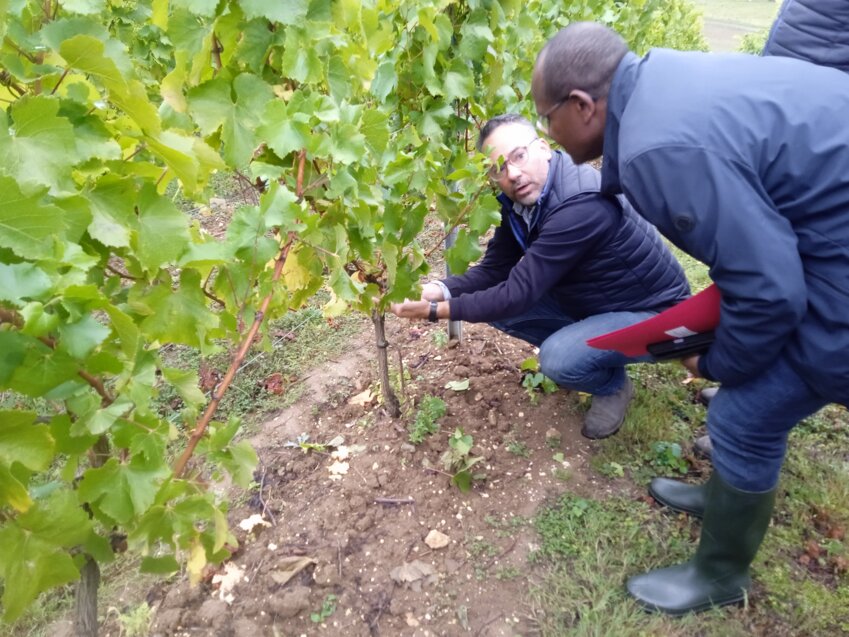 Visite officielle du sous-préfet de l’arrondissement de Saint-Quentin, Anthmane Aboubacar, dans les vignes de Moÿ-de-l’Aisne.