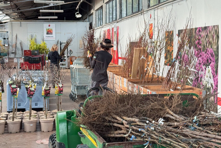 © Jardins fruitiers. Près de 5 000 arbres sont vendus actuellement aux Jardins Fruitiers de Laquenexy.