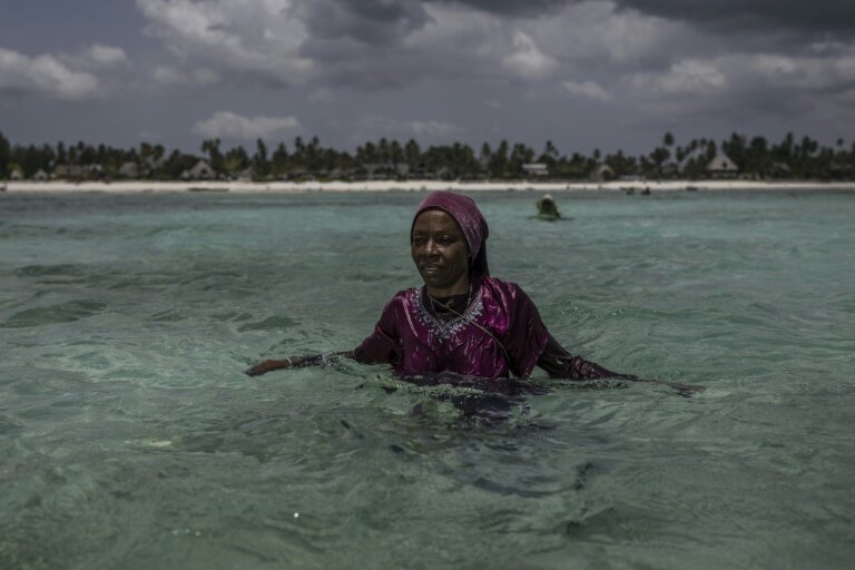 Une agricultrice de la Coopérative des producteurs d'éponges de Zanzibar, une organisation dirigée par des femmes, observe les environs à son arrivée à sa ferme au large de Jambiani (Tanzanie), le 25 octobre 2025 © MARCO LONGARI