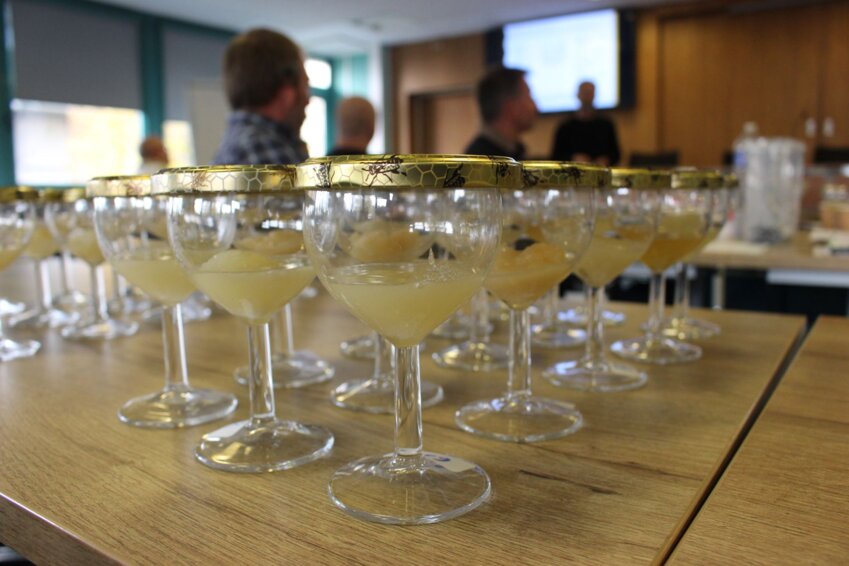 La teinte claire typique du Miel de tilleul de Picardie, ici testé par des jurés en formation à Amiens.