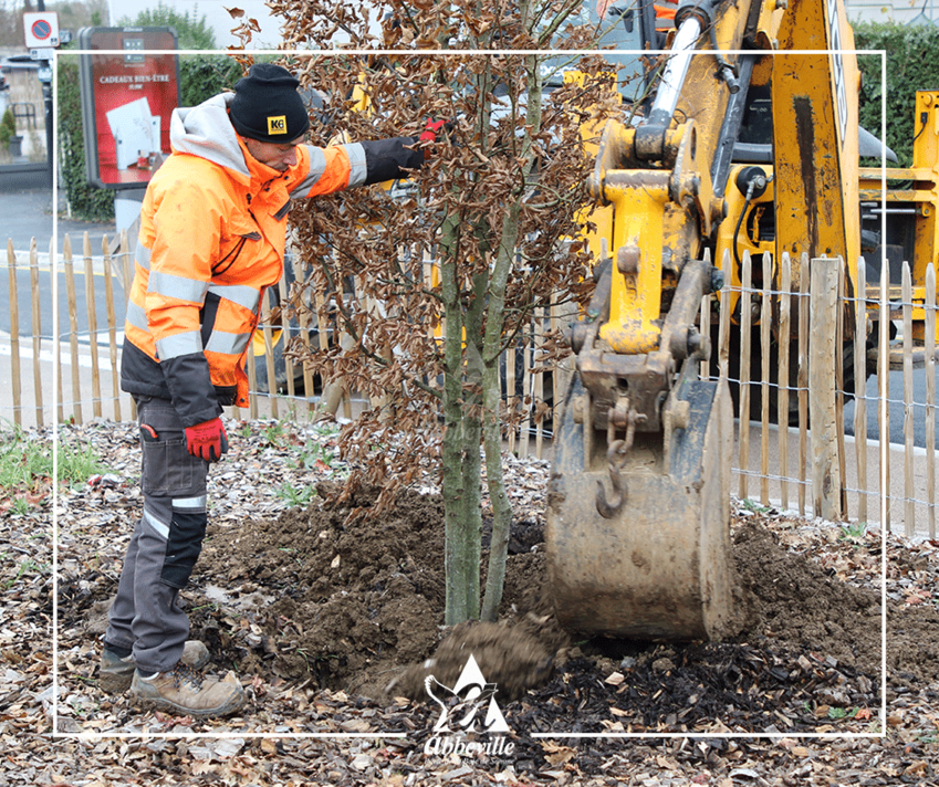 © Ville d'Abbeville.