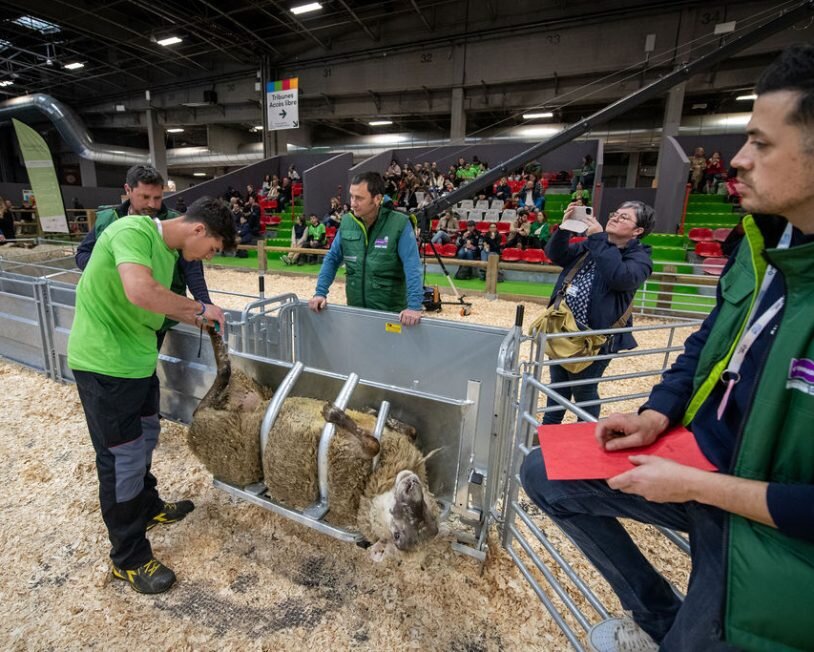 Les meilleurs candidats des Hauts-de-France participeront à la finale nationale au Salon de l'Agriculture à Paris. (c) Ovinipiades