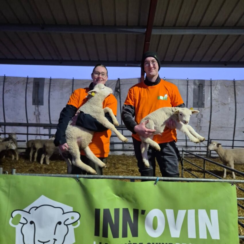 Éloïse Outtier et Jules Carré se sont imposés lors de la finale régionale. (c) Ovinpiades