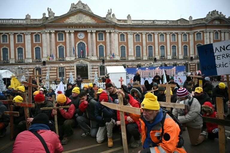 Manifestation à l'appel de l'intersyndicale agricole de Haute-Garonne pour protester contre la gestion de la dermatose bovine par le gouvernement, le 3 janvier 2025 à Toulouse © Matthieu RONDEL