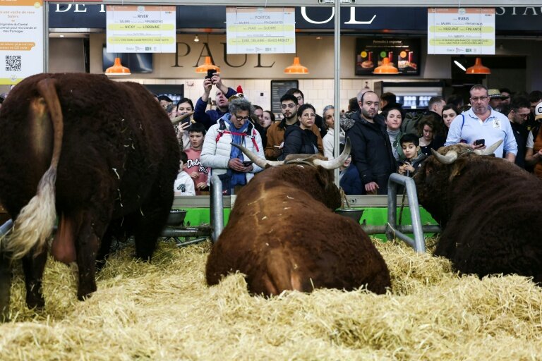 Au Salon de l'Agriculture, Porte de Versailles à Paris, le 22 février 2025 © ALAIN JOCARD