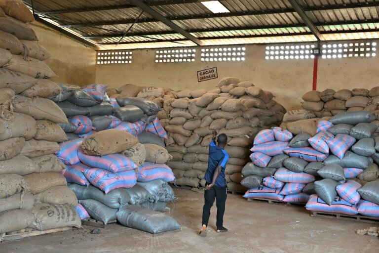 Un homme regarde des sacs de cacao dans l’entrepôt d’une coopérative, à Duekoué, en Côte d'Ivoire, le 15 janvier 2026 © SIA KAMBOU