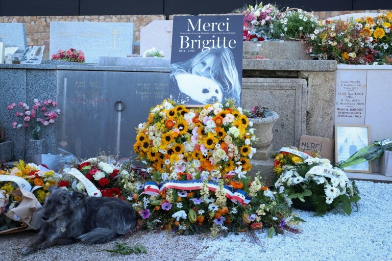 Un chien couché à côté des fleurs déposées autour de la tombe de l'actrice Brigitte Bardot, au cimetière maritime de Saint-Tropez, le 7 janvier 2026 après ses funérailles dans le Var © Valery HACHE