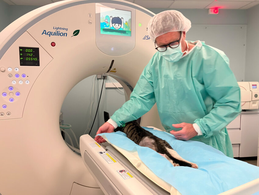 Plus de 280 établissements de soins vétérinaires font partie du groupe IVC Evidensia © IVC Evidensia