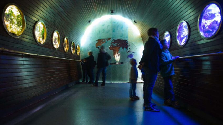 © Muséum-Aquarium Nancy.