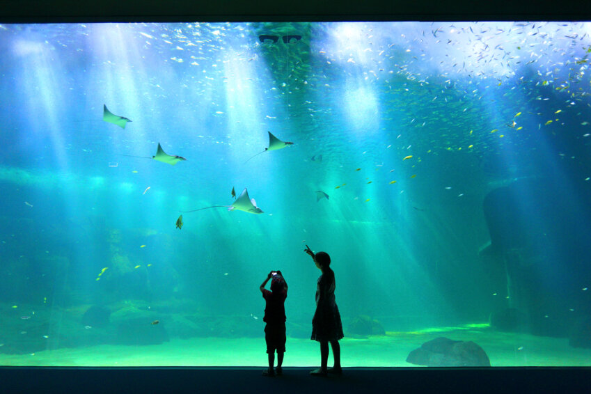 Les lauréats du programme Batch 12 © Philippe Turpin