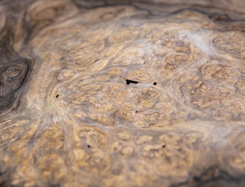 Le travail du bois, les gestes métiers précis continuent de passionner Laëtitia Verreman. (c) Marie-Line Waroude