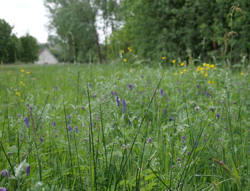 Olivier Parcy a repris l'exploitation familiale de Fontaine-sur-Somme en 2005. © CGA PAE