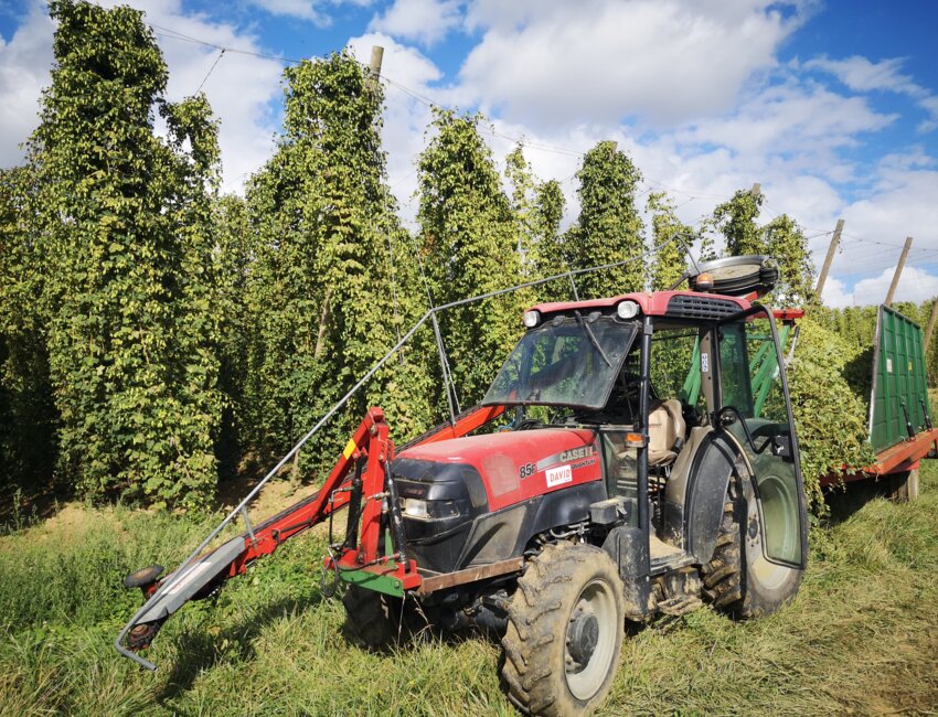 Denis Lequeux de la ferme Lequeux.