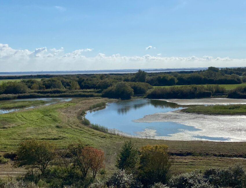 À Saint-Quentin-en-Tourmont, le parc ornithologique du Marquenterre séduit toujours plus