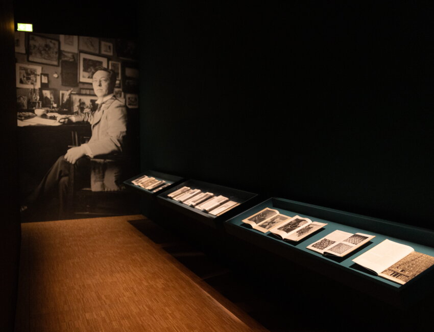 © Frédéric Iovino