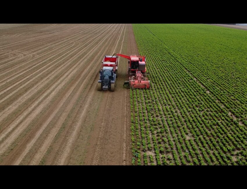 Le quotidien de trois familles d'agriculteurs au cœur du documentaire «Semer et récolter».