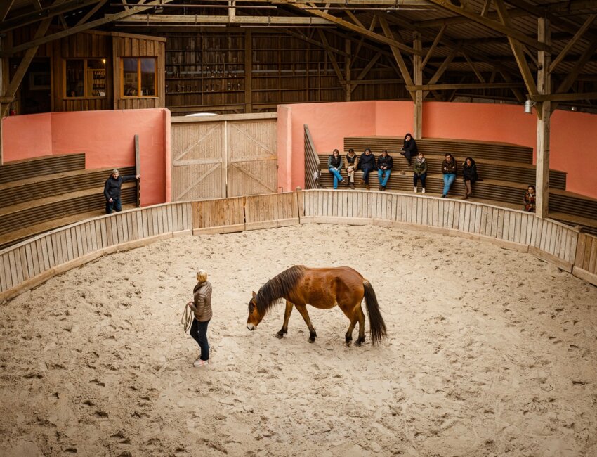 Le cheval est un révélateur de personnalité.