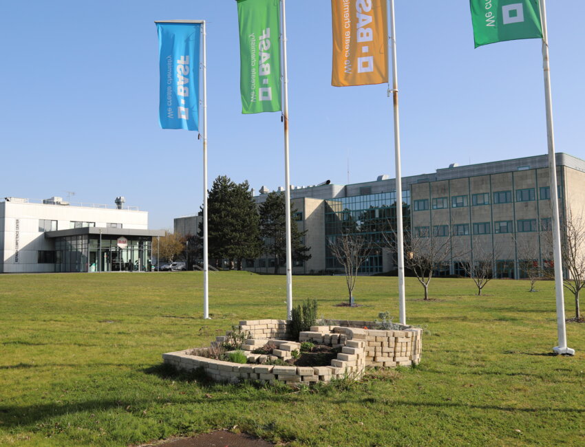 Breuil-le-Sec : BASF déploie son Lean Labo et répond aux exigences européennes