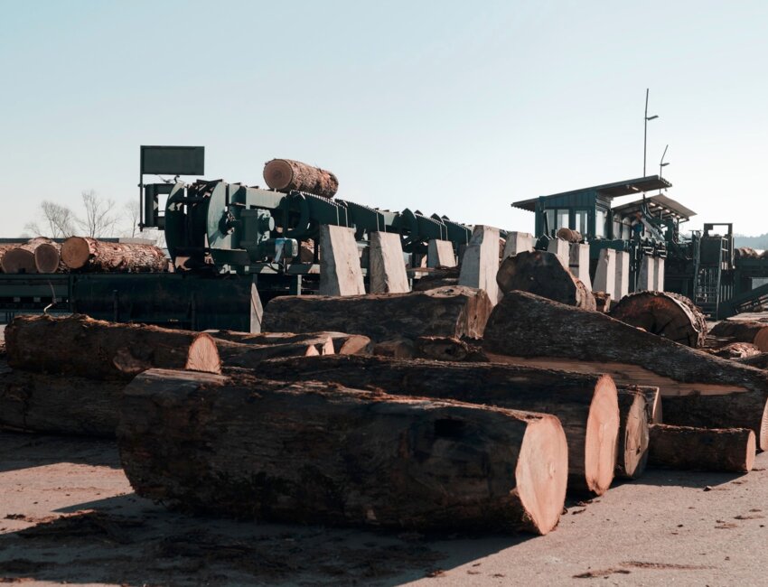 © Benjamin Prost- La structuration du parc à grumes avec zone d’arrosage fait partie des derniers investissements engagés par la scierie