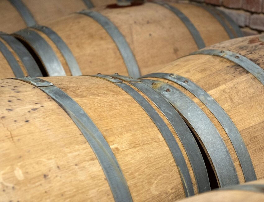 Martin Ebersbach cultive principalement un cépage Chardonnay effervescent en méthode traditionnelle. © Cyrille Struy