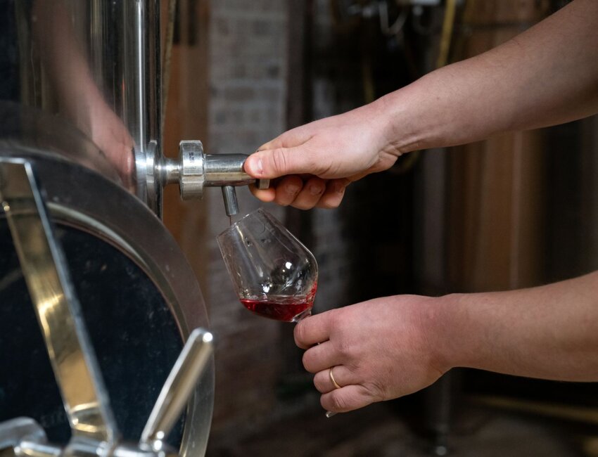 Le vignoble des Voeux produit 32 000 bouteilles par an. © Cyrille Struy