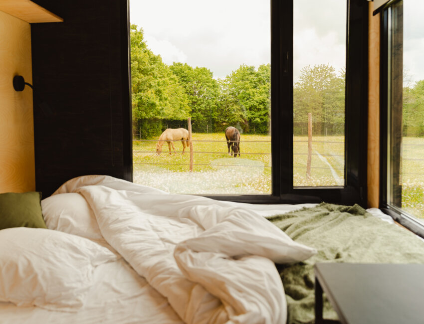 Jimmy Romann a installé la tiny house au milieu des chevaux qu'il accueille en pension.  © Parcel Tiny House