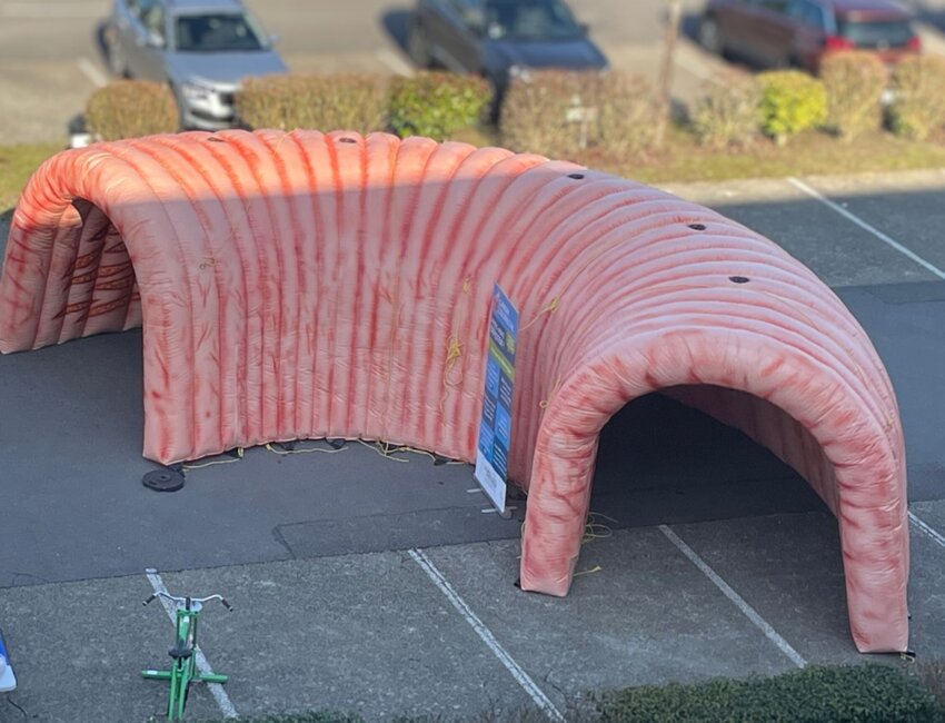 Amiens : un côlon géant pour sensibiliser au cancer colorectal