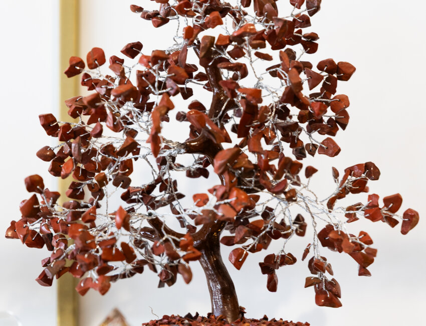 © Éloïse Le Névanic