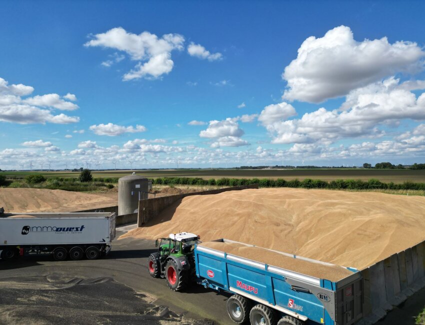 La collecte de blé, ici à Arvillers. © Sana Terra