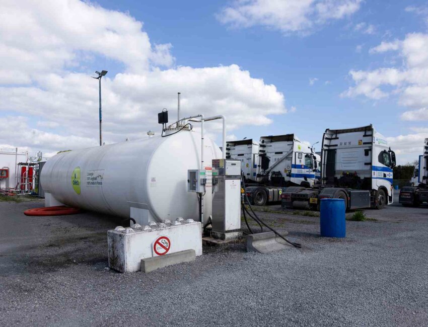 (c) Marie-Line Waroude