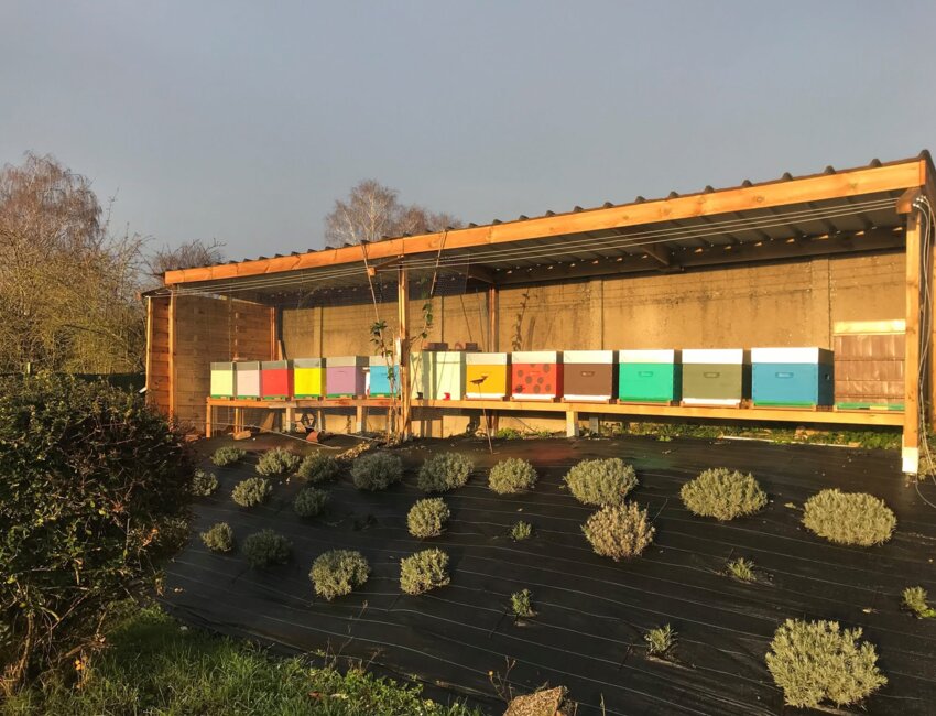Une quarantaine de ruches est exploitée.