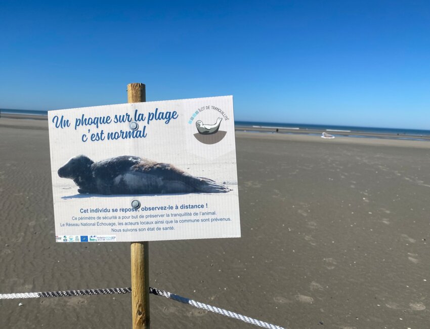 Des panneaux pédagogiques sont mis en place.