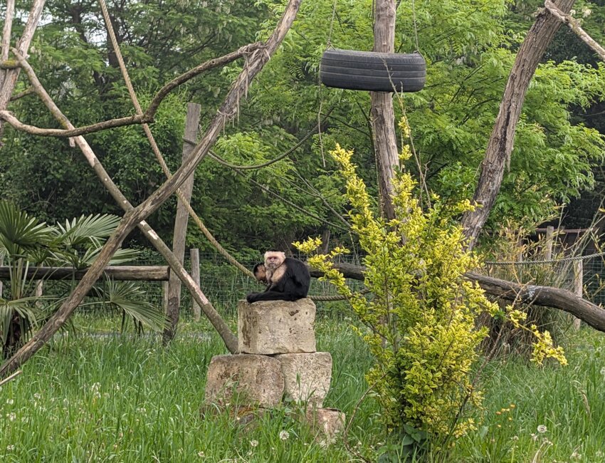 La Réserve compte une centaine d’animaux. © Aletheia Press / DLP
