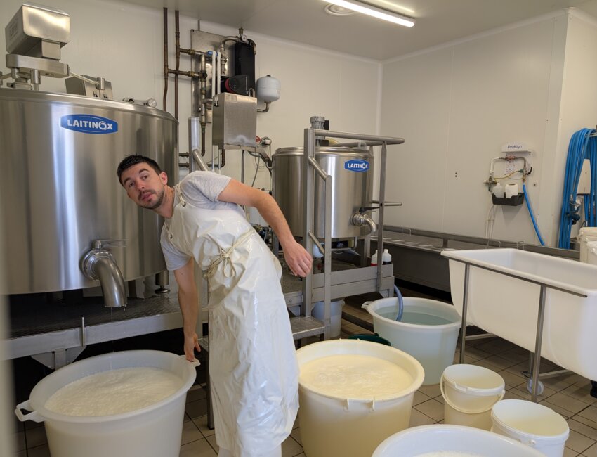 En augmentant sa production, la fromagerie espère renforcer son équipe. © Aleheia Press / DLP