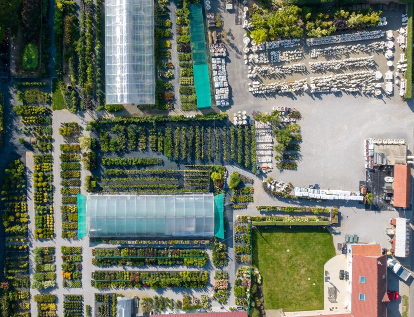 Vu du ciel, l’organisation impressionne.
