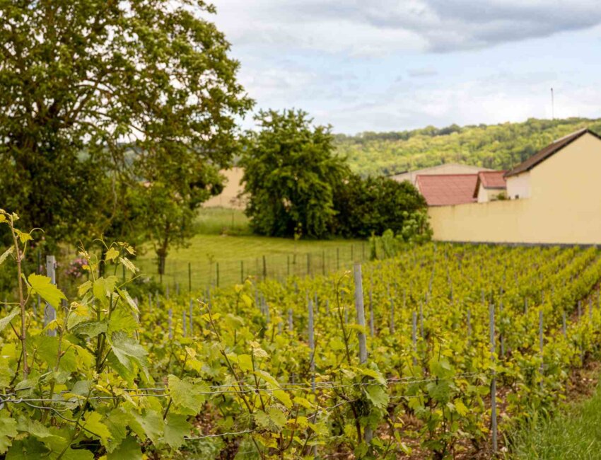 Les domaines du sud de l’Aisne reçoivent des événements d’entreprise. (c) Marie-Line Waroude