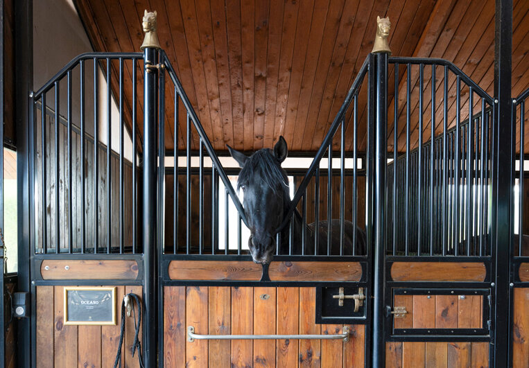 © Laurence Deleau. Le haras, créé dans un second temps et accessible aux clients.