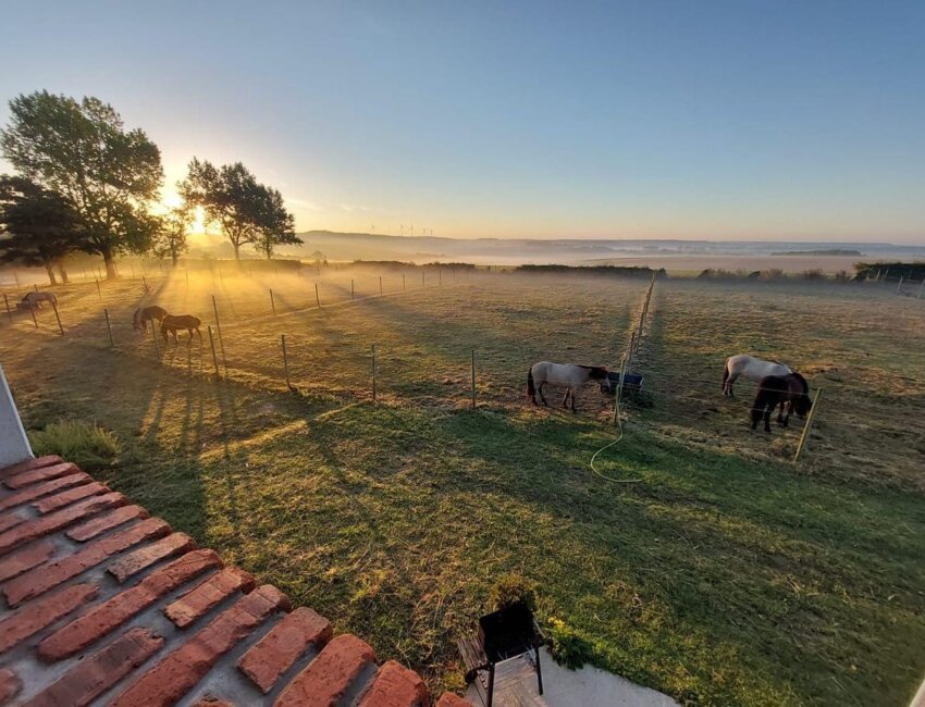 ©Le Clos de l'Angley