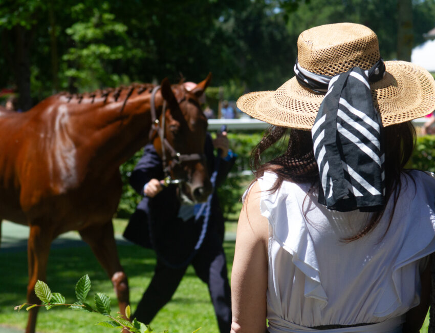 Récupération des chevaux après l'effort. © Anne-Sophie Combrez