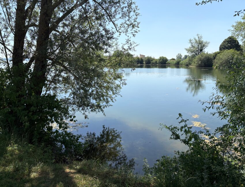 © Alexandra Marquet- La Garden-Party s'est tenue à deux pas du lac de la Madine.