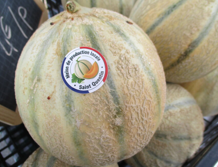 Le melon est produit localement, en plein champ, et récolté à maturité.