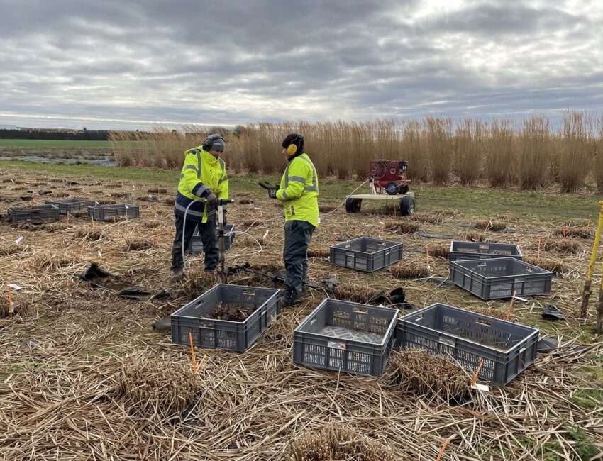 Des tests grandeur nature sur les 170 hectares de cultures du site d’Estrées-Mons. © Aline Waquet / Inrae HdF