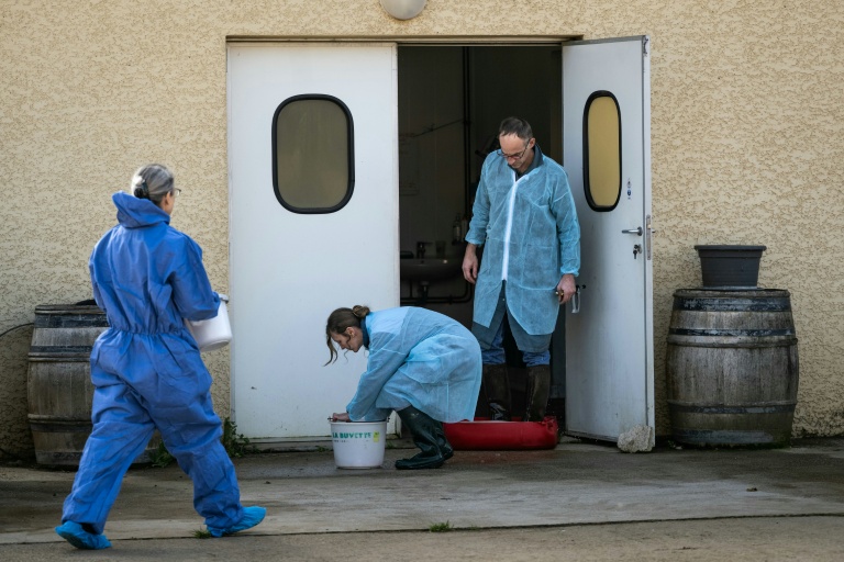 « On est pris en étau »: avec la dermatose, les vétérinaires cibles de menaces
