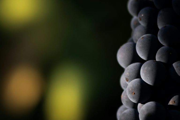 A Wine Paris, trois jours de salon pour contrer les multiples crises du vin