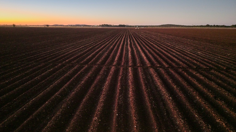 Zimbabwe: des fermiers blancs se tournent vers Trump pour accélérer leur indemnisation