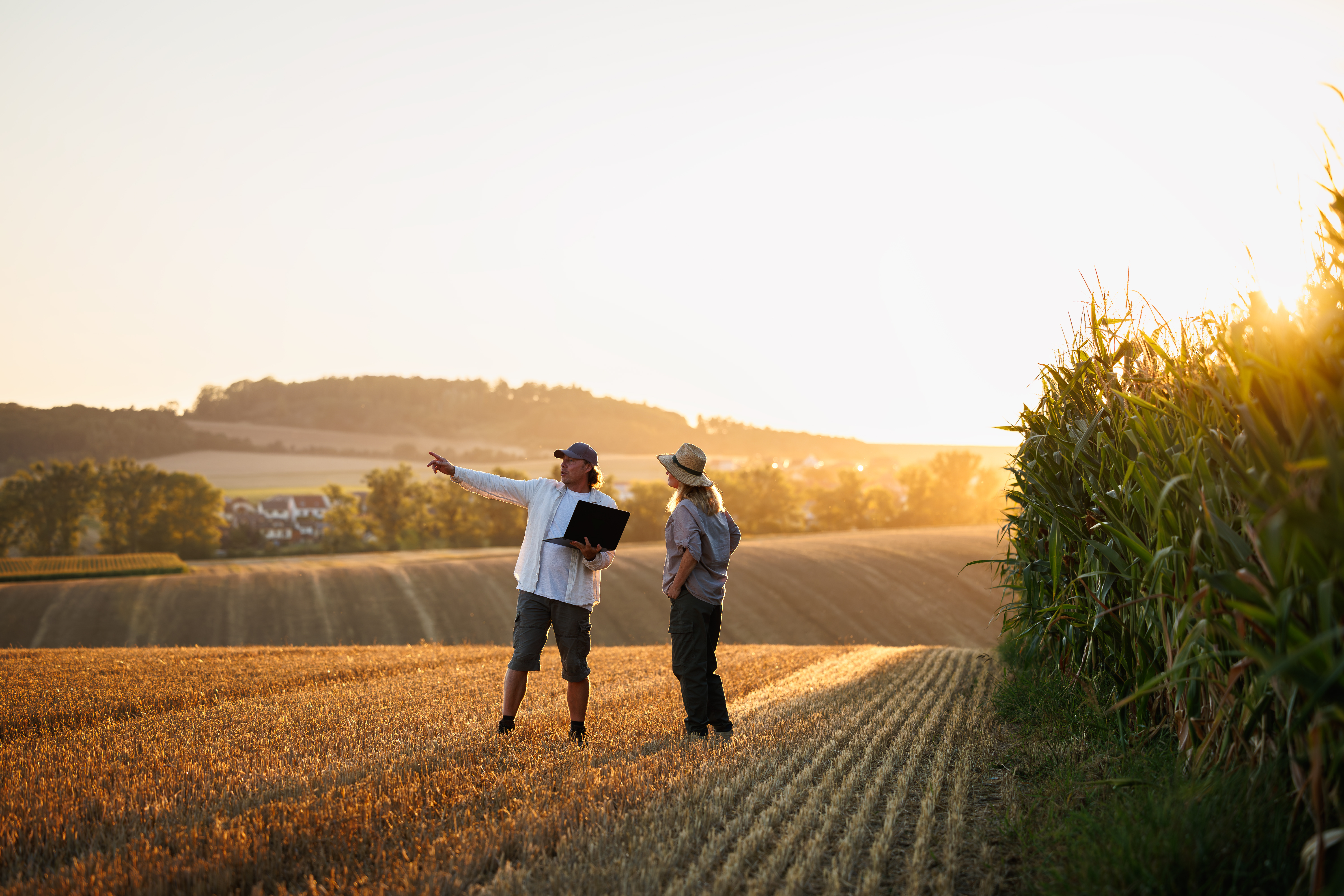 Plateau de Frescaty : l’Eurométropole de Metz ouvre 3 lots d’herbage à la fauche pour l’été 2026