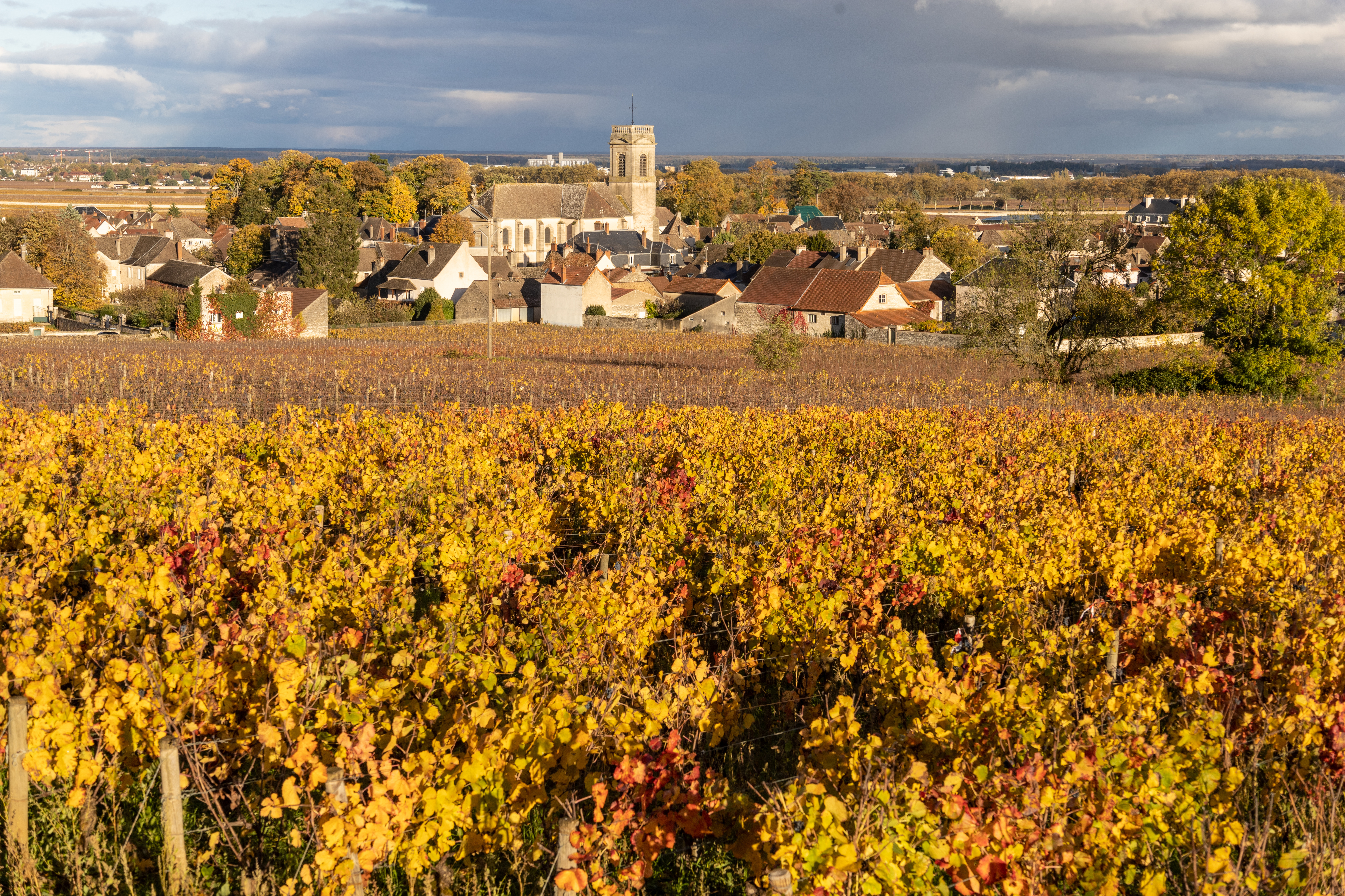 La Côte-d’Or, 2ᵉ département le plus gourmet de France selon Aladinia