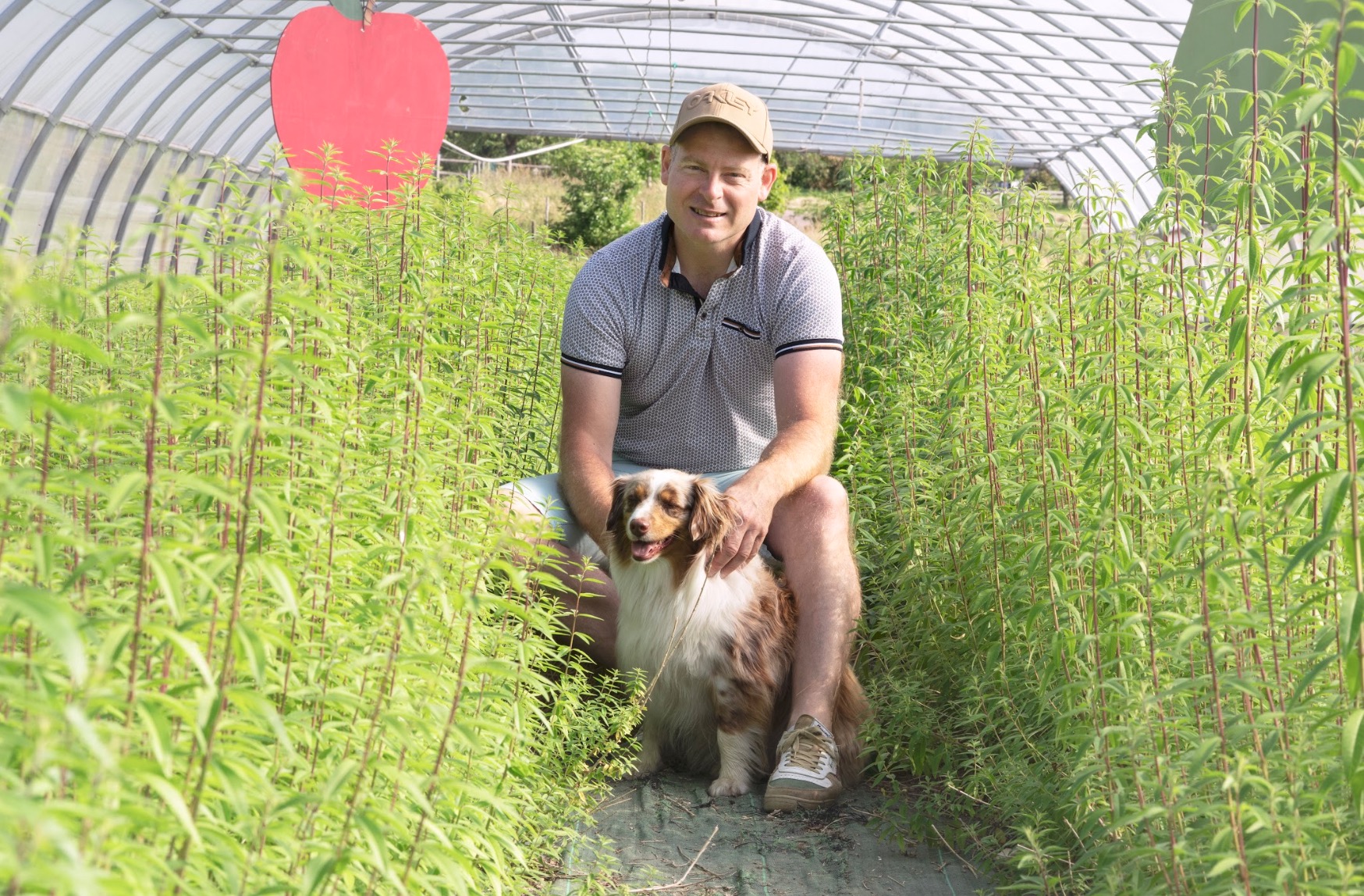 Deux médailles pour la ferme des P’tisanes
