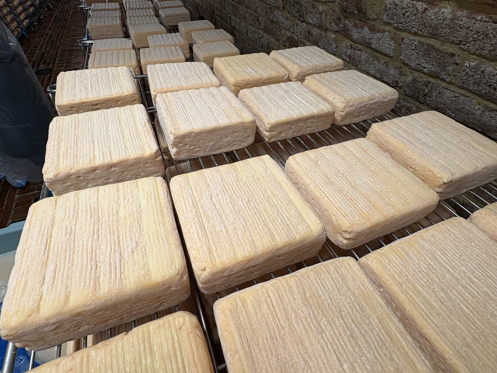 Les maroilles de l'Aisne récompensés au Concours général agricole